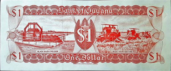 guyana 1 dollar p21g 2back