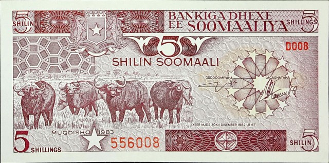 somalia 5 shillings p31 1front